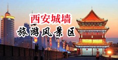 男人和少妇做羞羞的事视频中国陕西-西安城墙旅游风景区